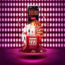 wynn11